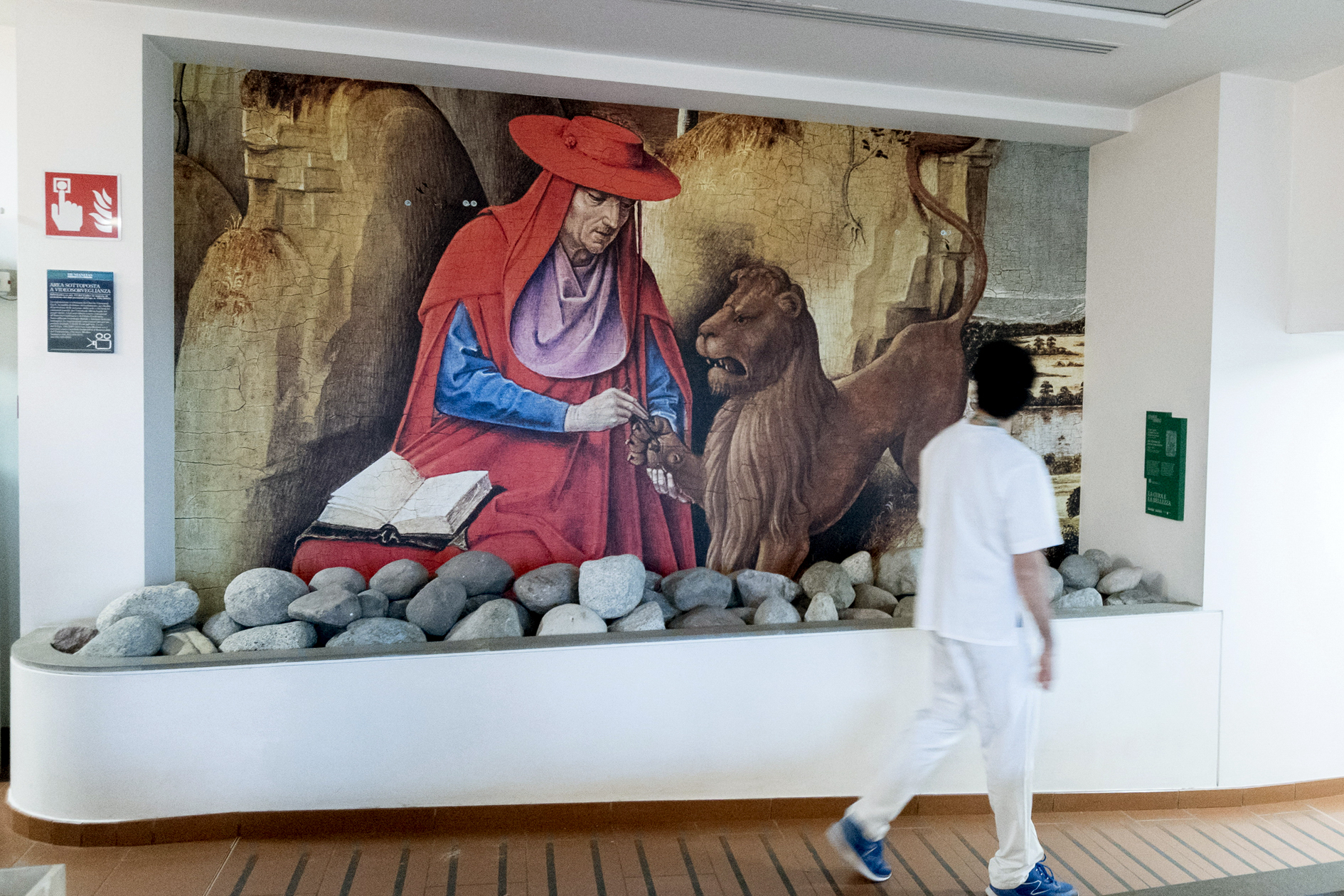 San Girolamo che leva la spina al leone, Rogier Van Der Weyden, entrata Via Gavazzeni, Humanitas Gavazzeni, 2018.