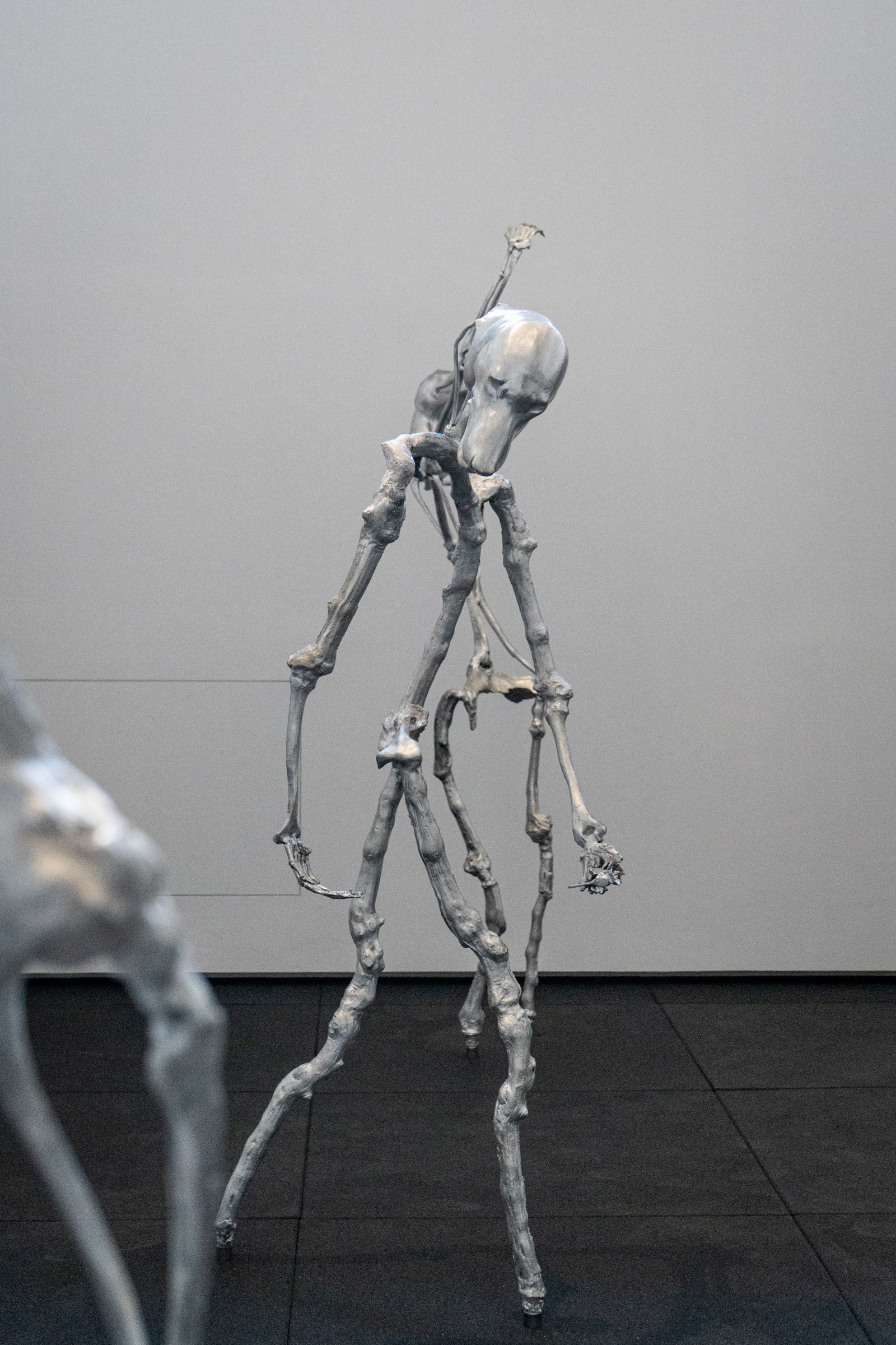 Giulia Cenci, the hallow men, Project Space, Palazzo Strozzi, Firenze, fotografia di Pontus Berghe