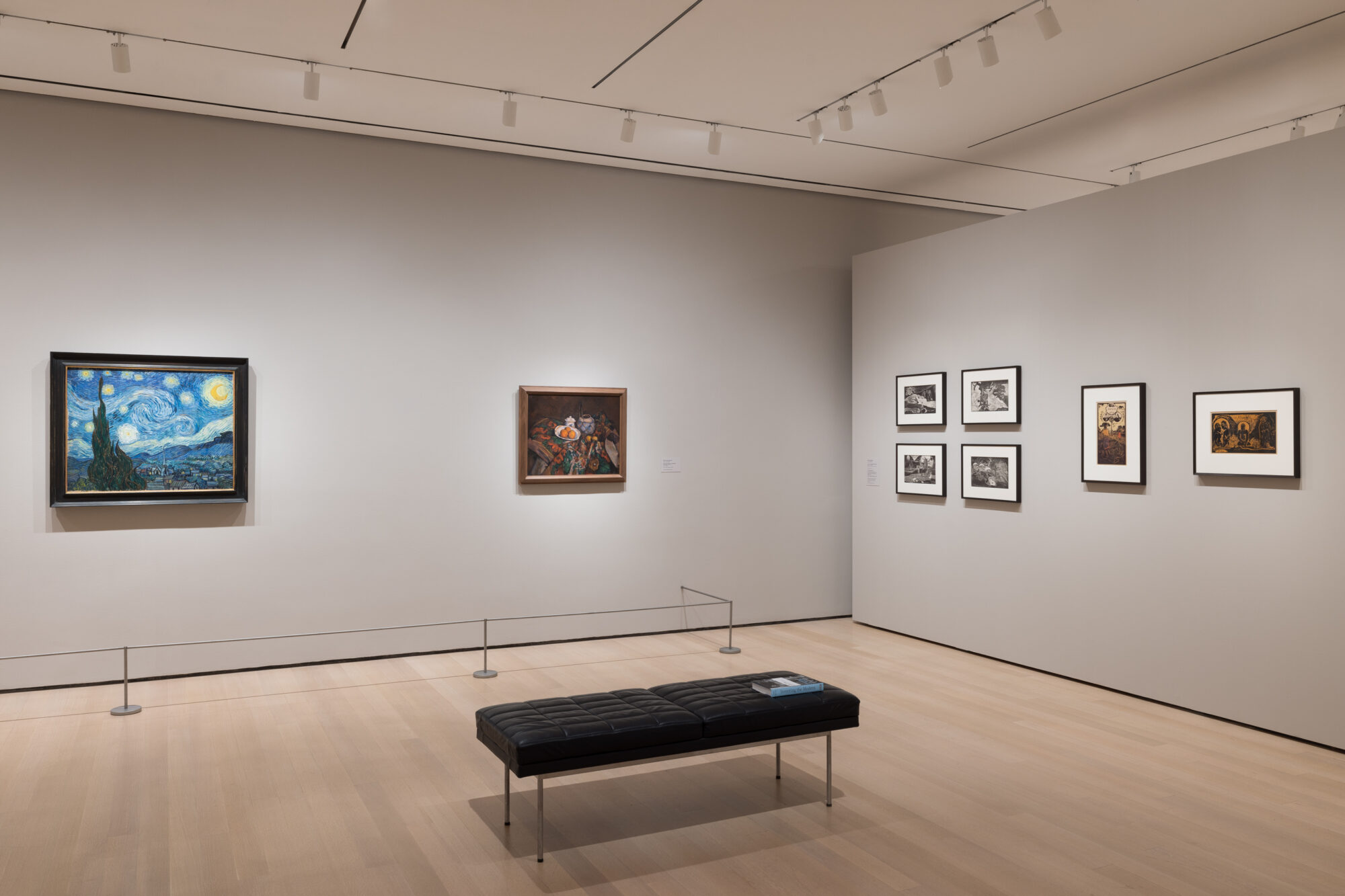 Installation view of Lillie P. Bliss and the Birth of the Modern, on view at The Museum of Modern Art, New York from November 17, 2024, through March 29, 2025. Photo: Emile Askey.  The images on this site may be used only for non-commercial editorial pres