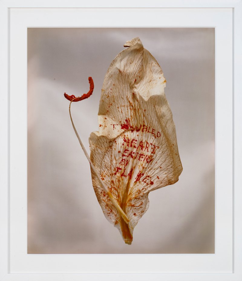 Anne&PatrickPoirier, Fragility, 1994