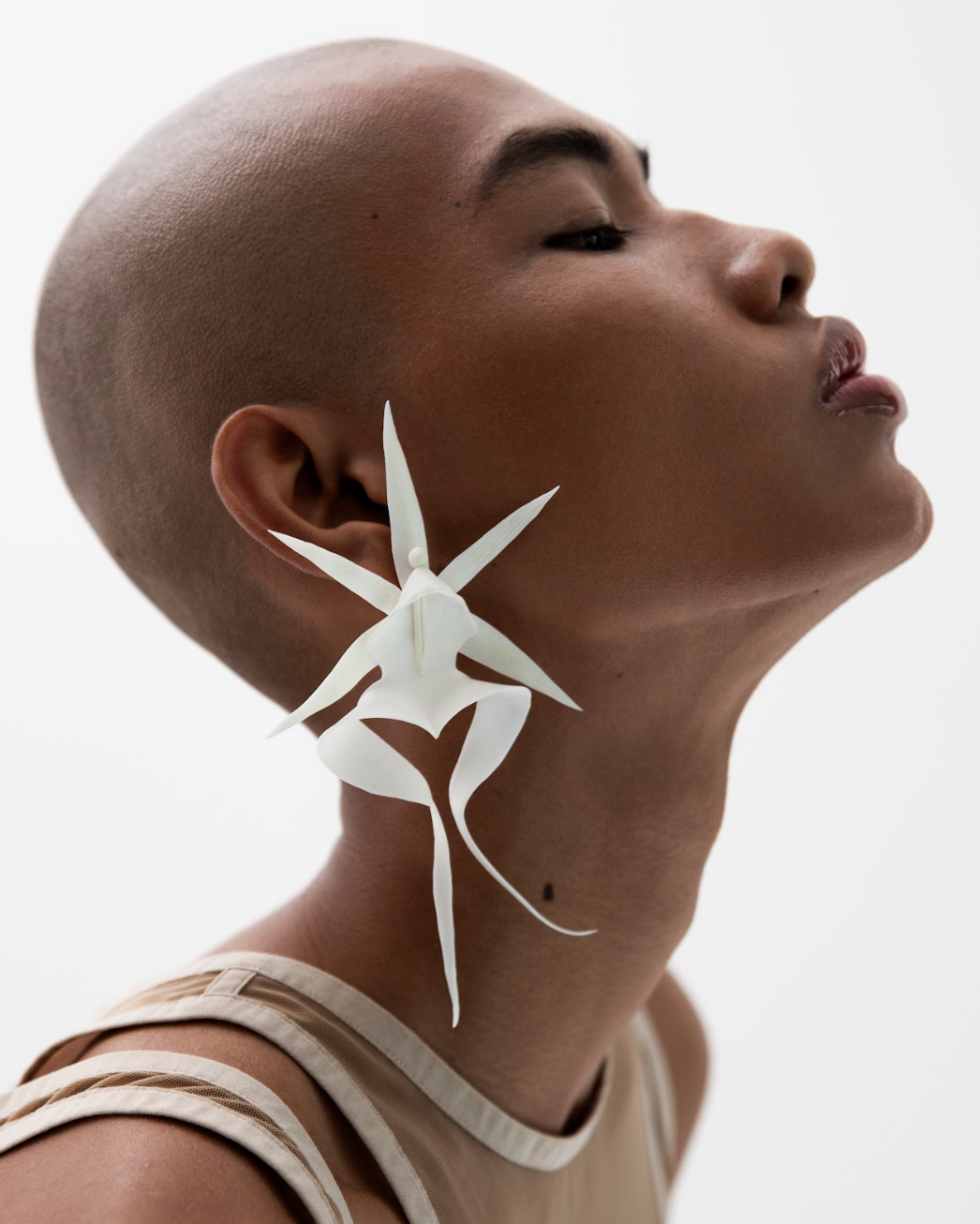 Ghost Orchid Earrings cover