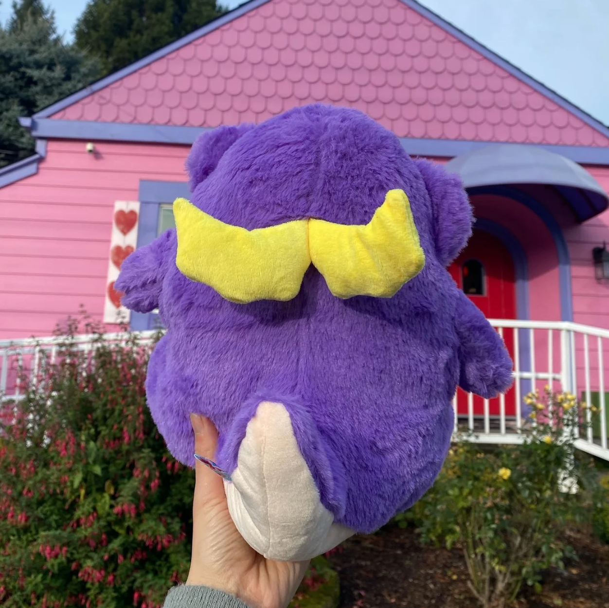 Amethyst Snoozle cover