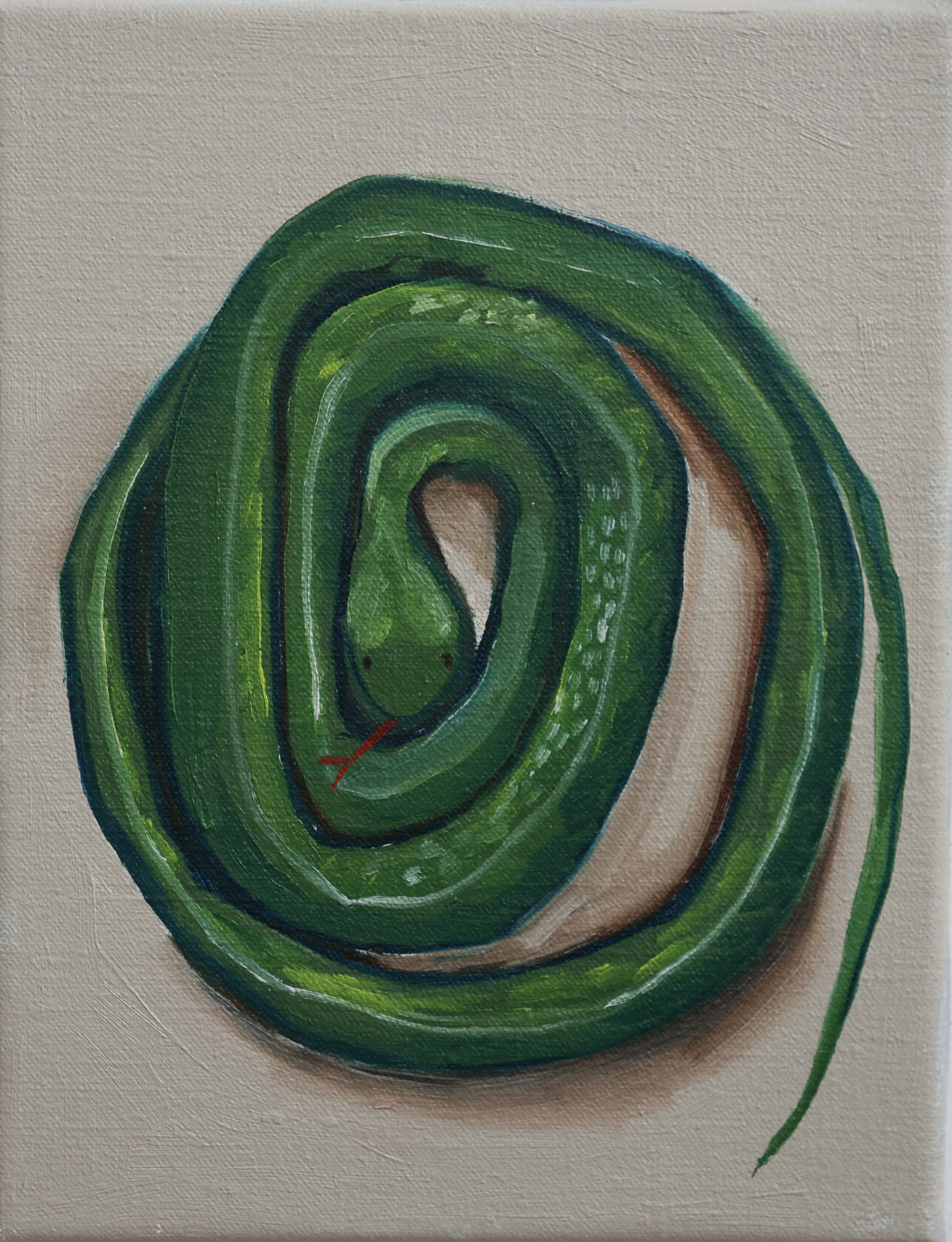 Winnie Hall, Rubber Snake 2024