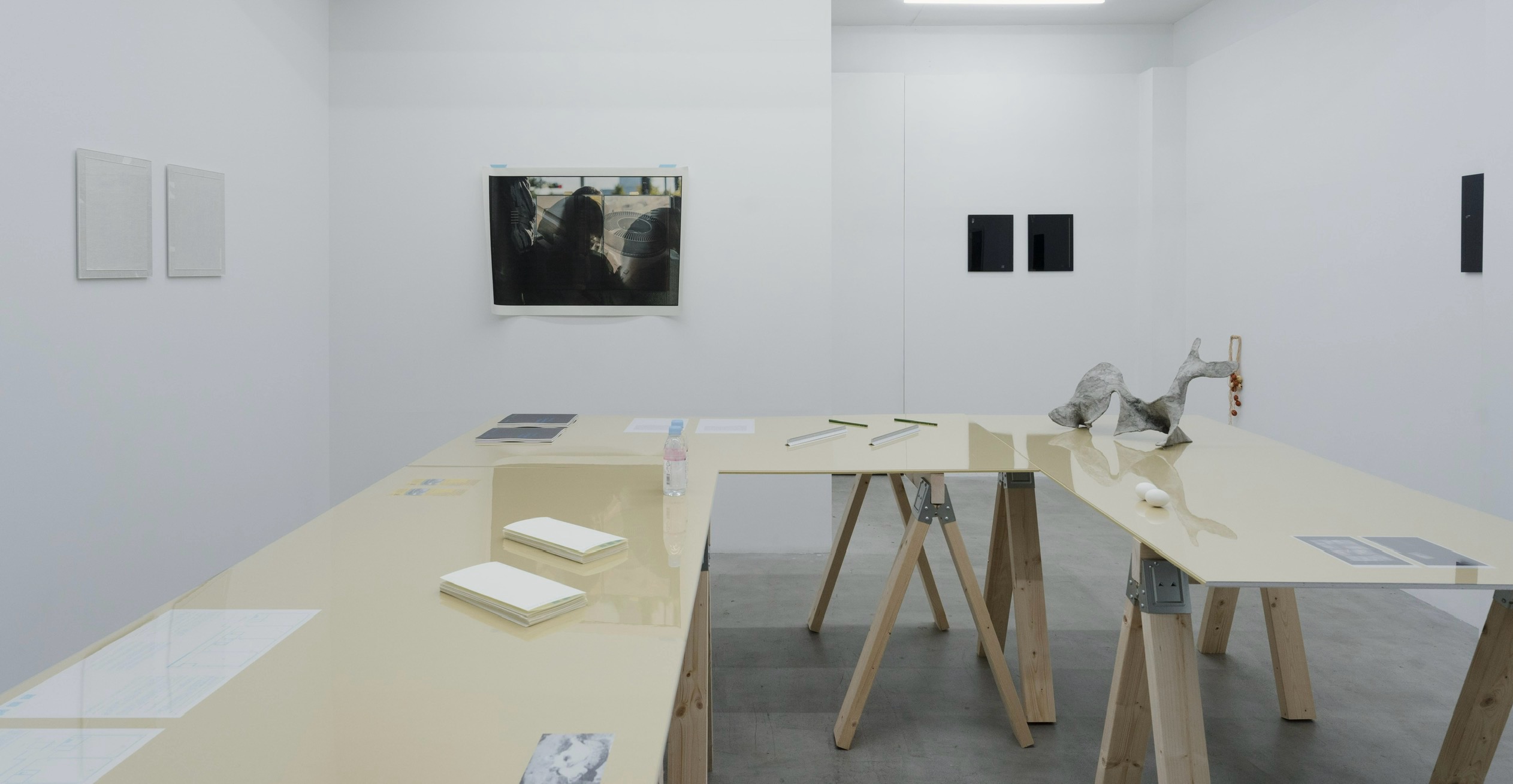 Veduta dell'installazione, Oggetti, Smalto, Gesso, Pigmenti su Perspex, uova, acqua, Carta, Fotografie, Luce, Riflessi, Lino, Legno, Pannelli, Cavalli, Cycas, Parti, fotografia di Kisshomaru Shimamura